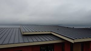 Best Roof Maintenance and Cleaning  in Seward, AK